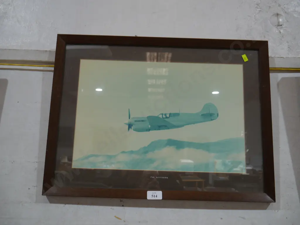 P40 Kitty hawk photo Image 1++