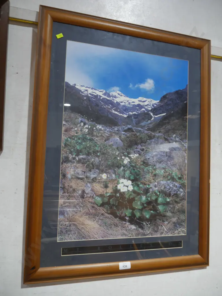 Mount Rolleston photo Image 1++