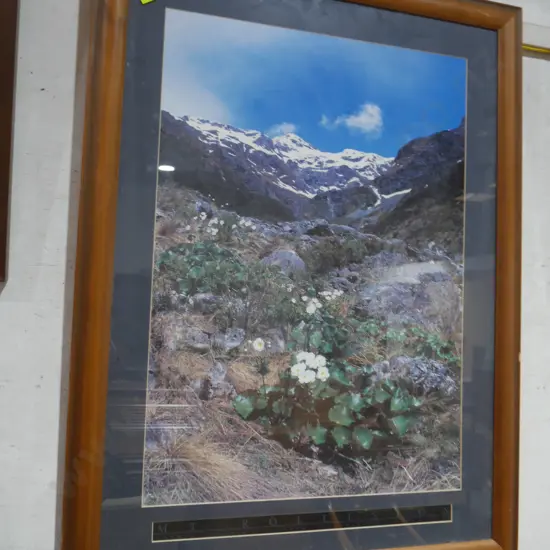 Mount Rolleston photo