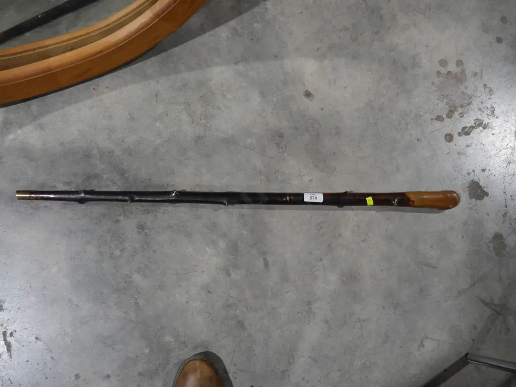 Walking stick Image 1++