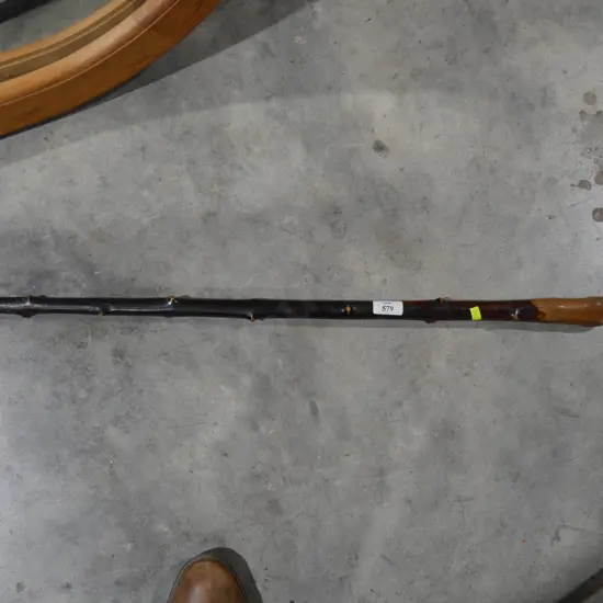 Walking stick