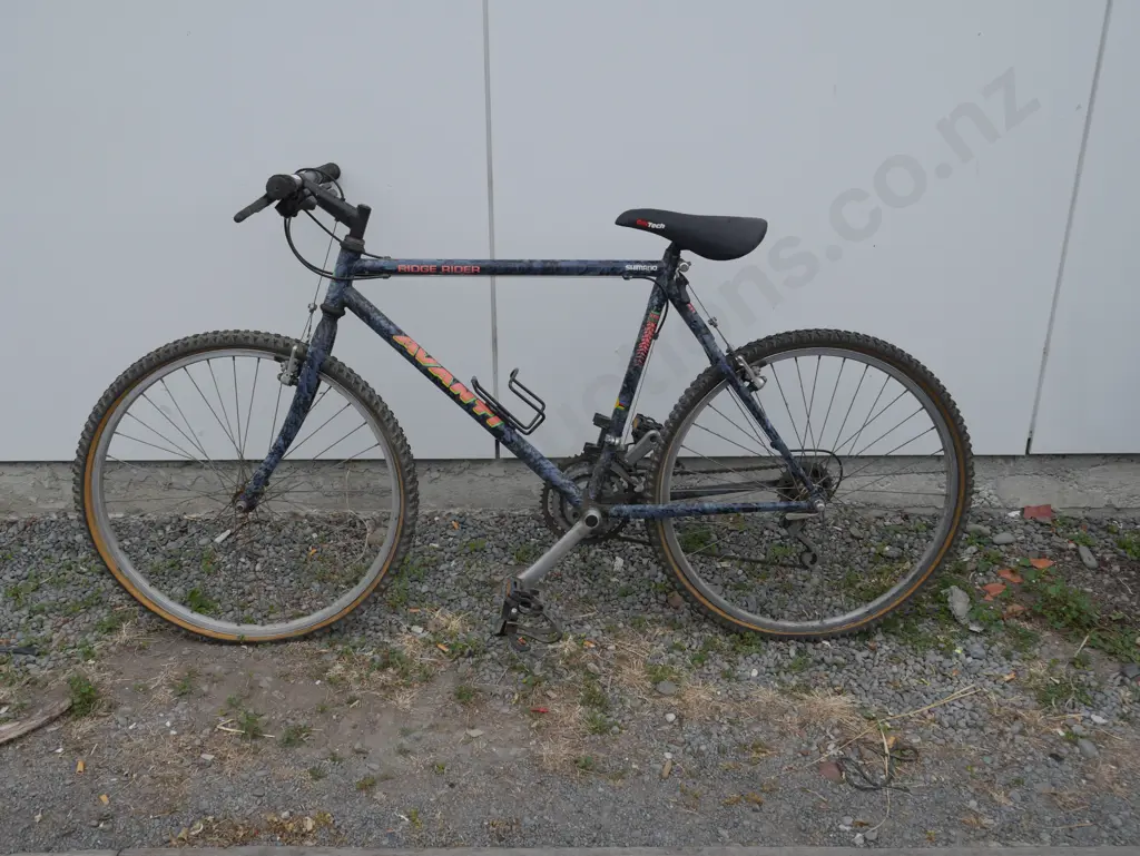 Avanti mens bike Image 1++