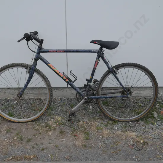 Avanti mens bike
