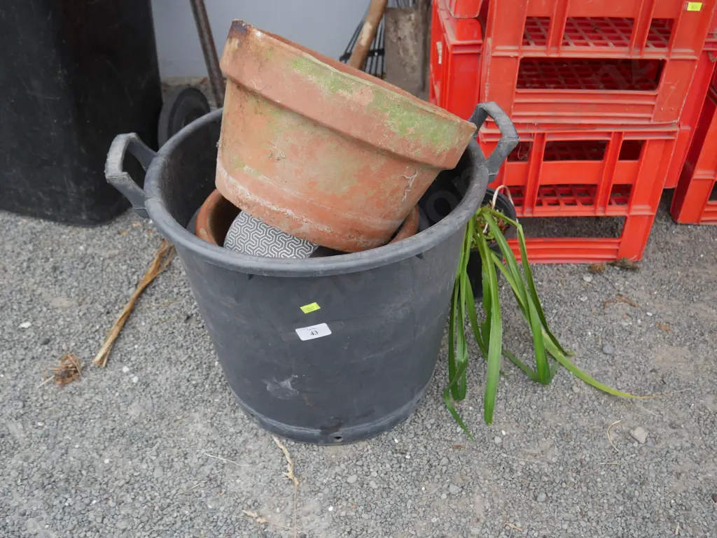 Garden pots etc Image 1++