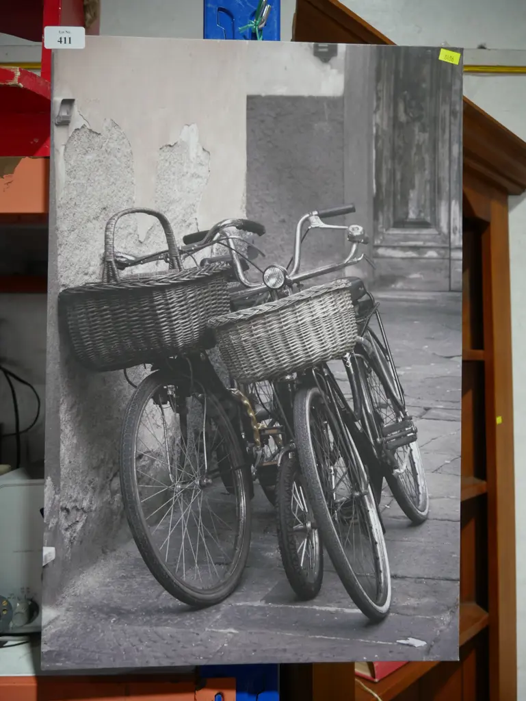 Bicycle canvas Image 1++