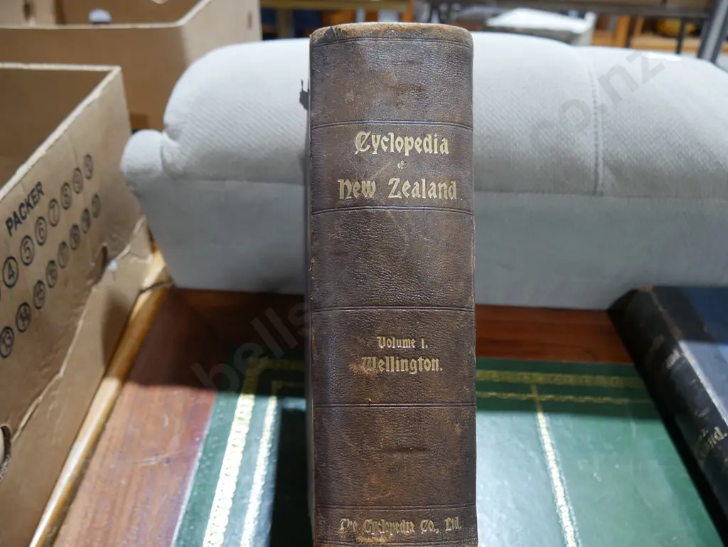 Cyclopaedia of New Zealand V.1 Wellington Image 1++