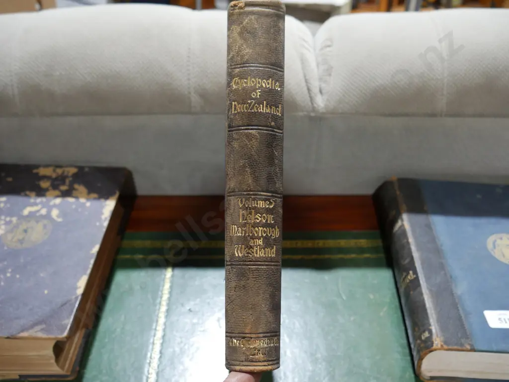 Cyclopaedia of New Zealand V.5 Nelson, Marlborough and Westland Image 1++