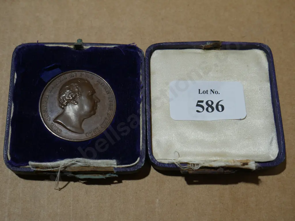 Medallion Image 1++