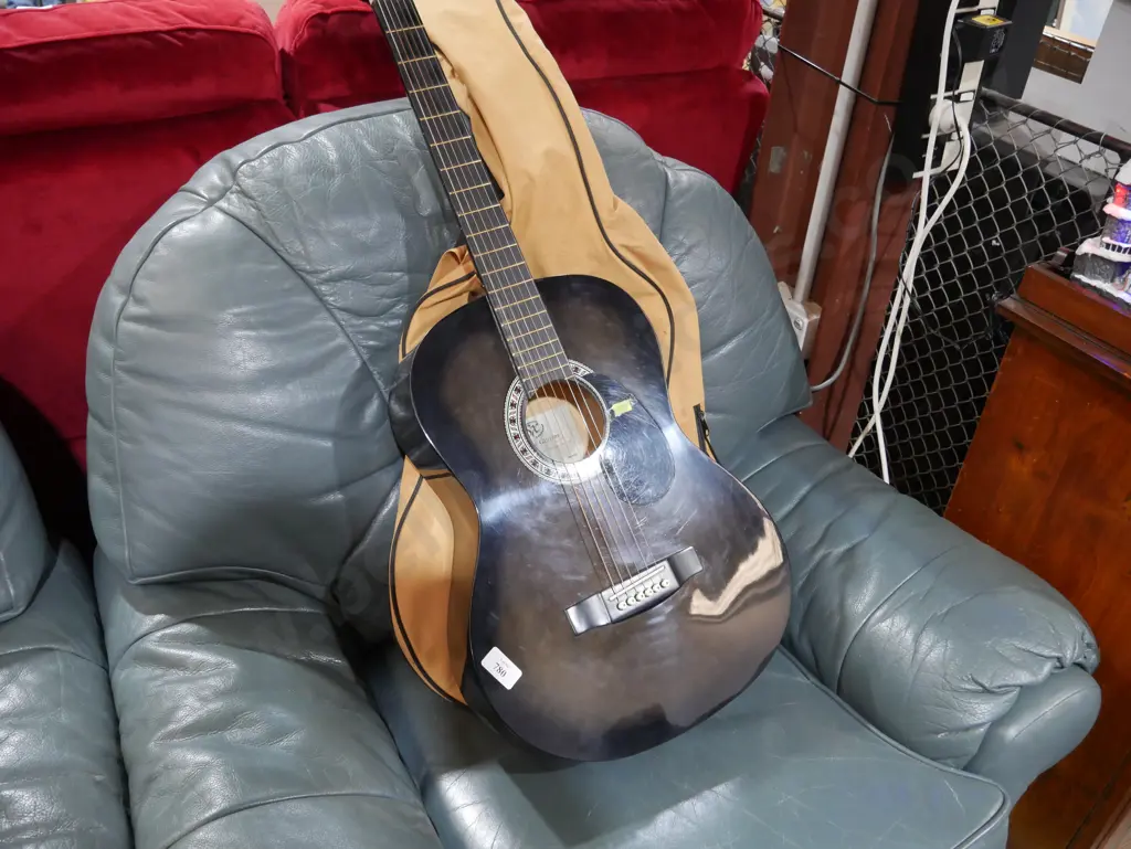 SX Guitar Image 1++