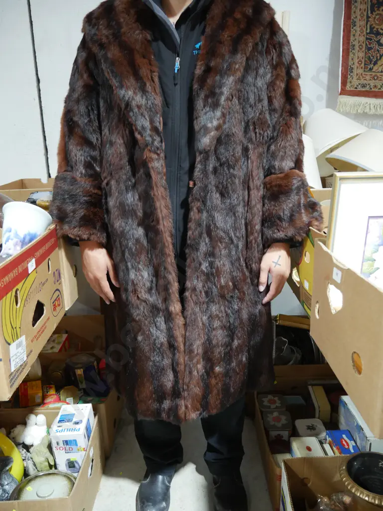 Fur coat Image 1++