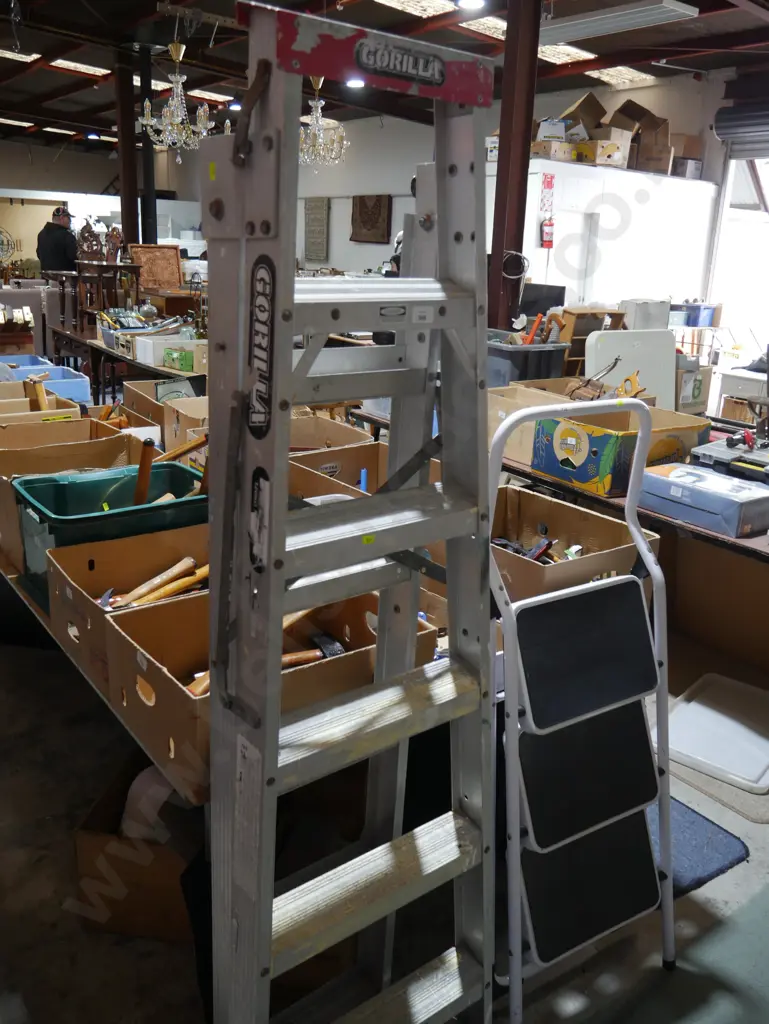 Gorilla ladder Image 1++