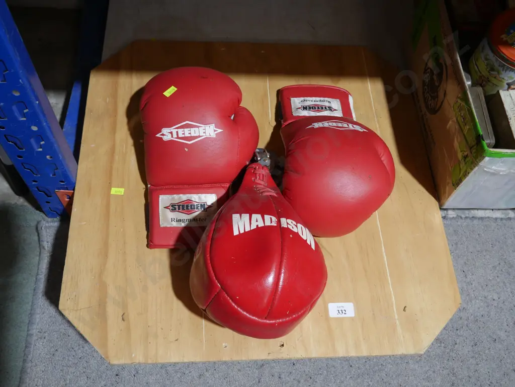 Boxing speed bag and gloves Image 1++