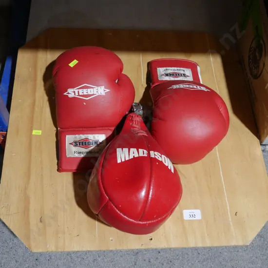 Boxing speed bag and gloves