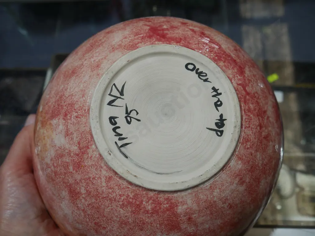 NZ Tina Over the Top pottery bowl Image 1++