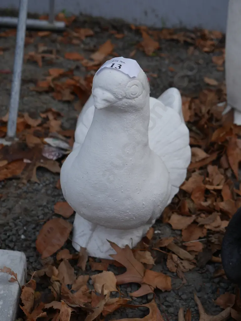 Concrete dove Image 1++