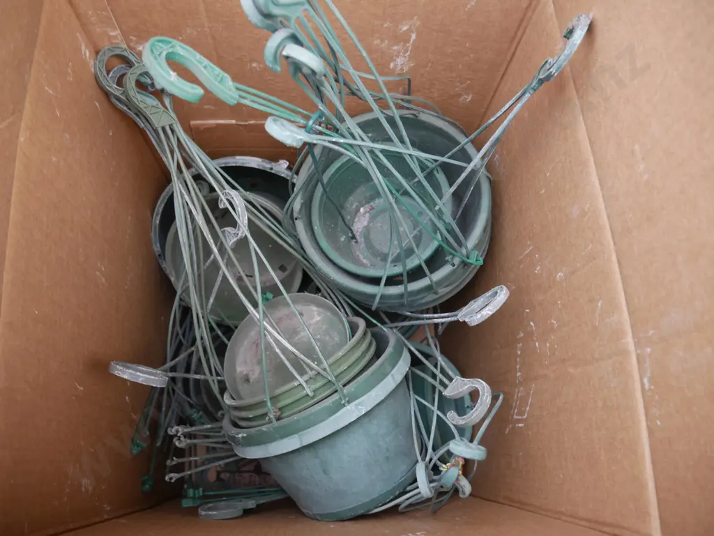 Box of hanging planters Image 1++