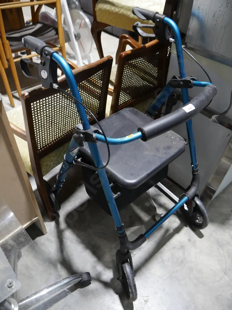 Mobility walker Image 1++