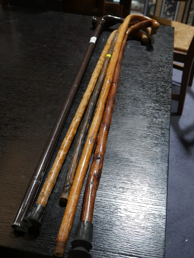 Walking sticks Image 1++