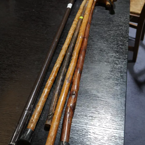 Walking sticks