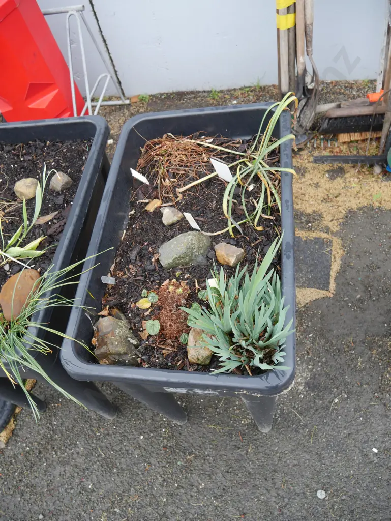 Raised garden bed Image 1++