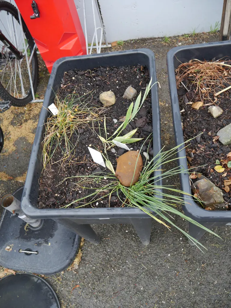 Raised garden bed Image 1++