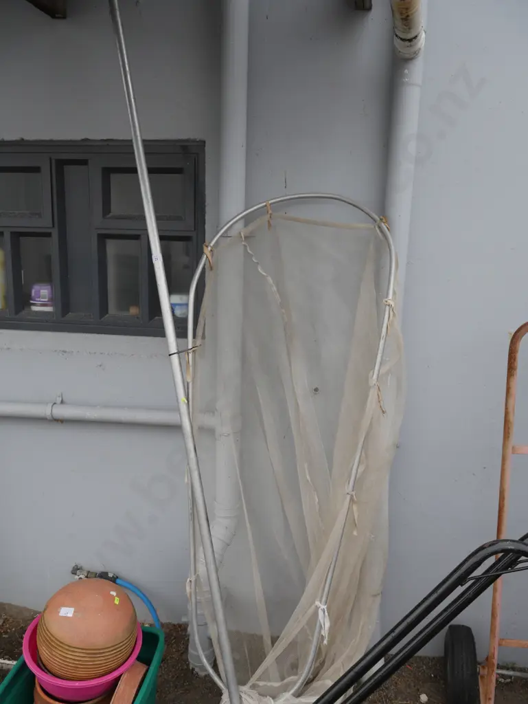 White bait scoop net Image 1++
