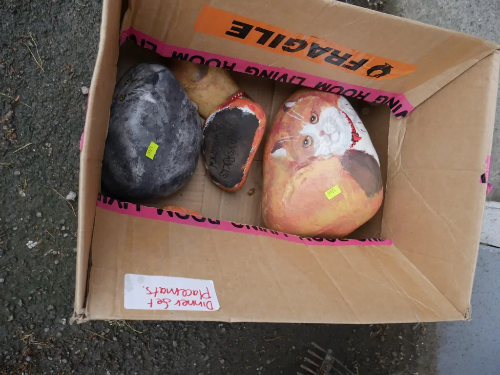 Painted cat rocks by Rays Rocks Ashburton Image 1++