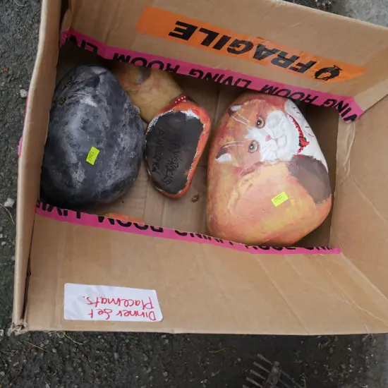Painted cat rocks by Rays Rocks Ashburton