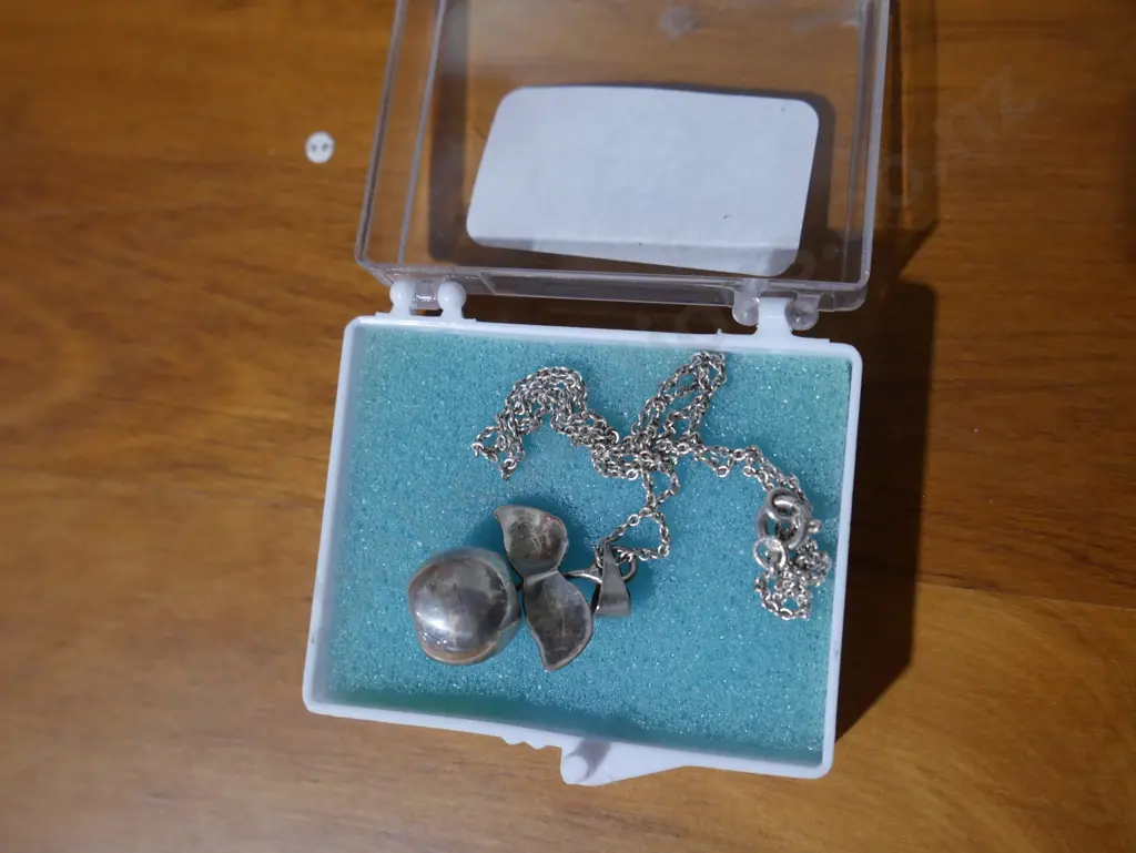 Silver necklace Image 1++