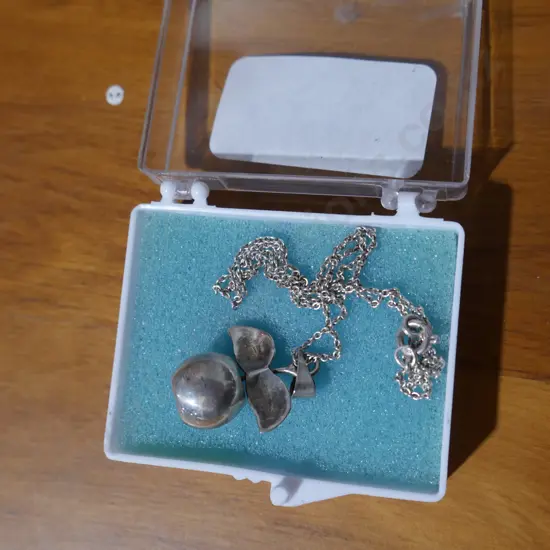 Silver necklace
