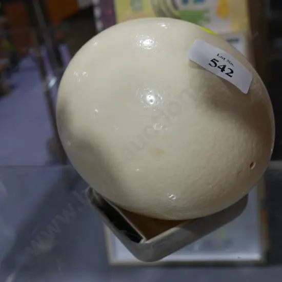 Ostrich egg