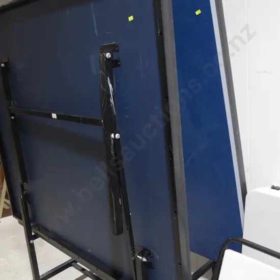 Table tennis table and accessories