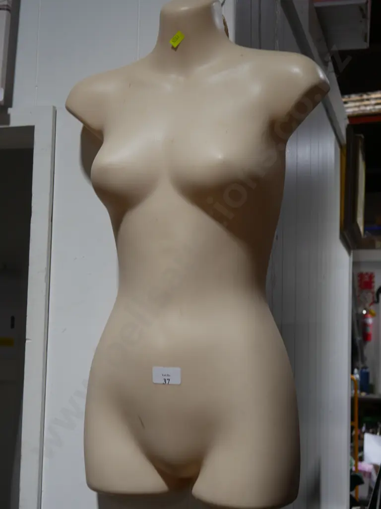 Torso mannequin Image 1++