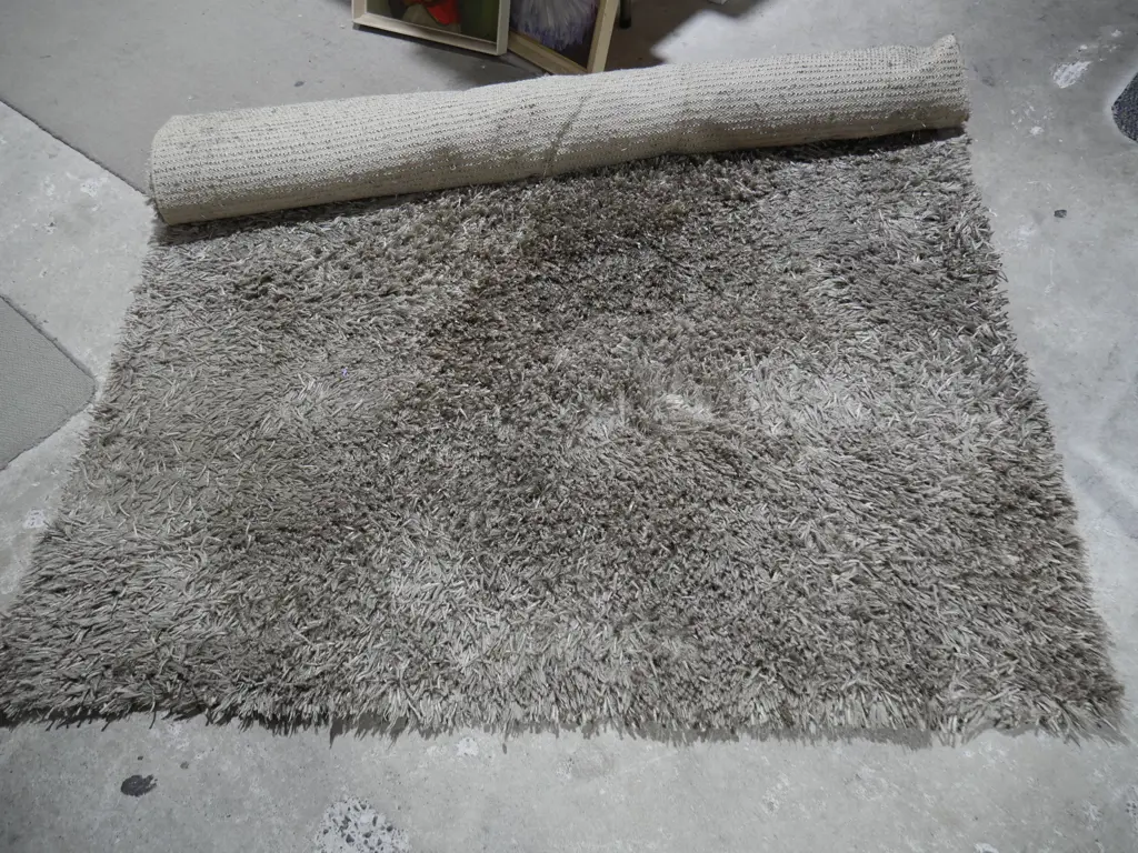 Shaggy rug Image 1++