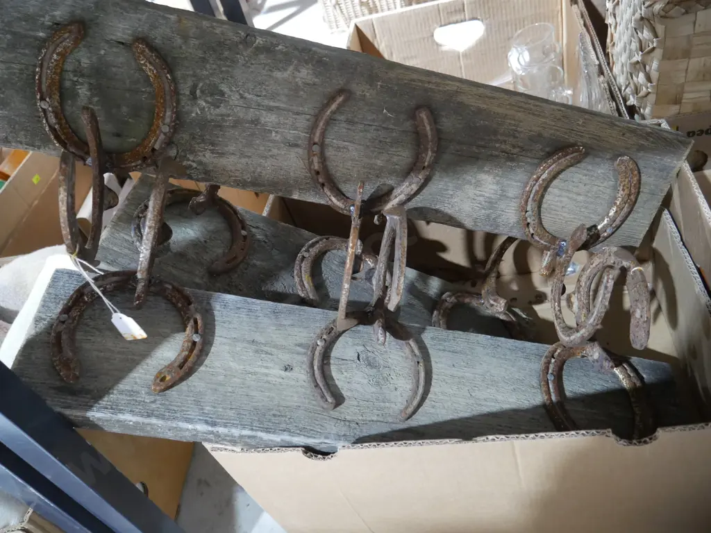 Horseshoe coat racks Image 1++