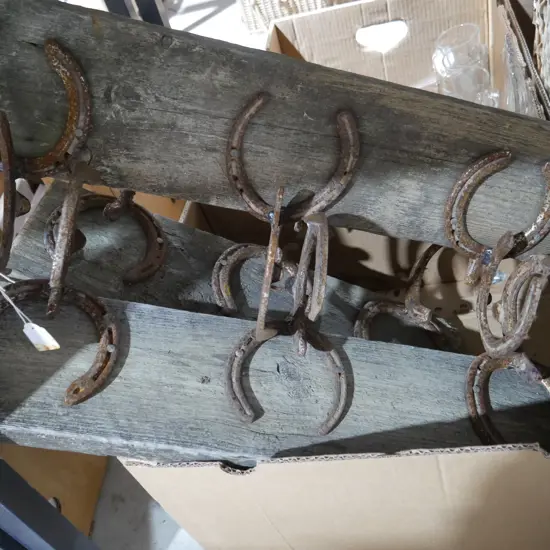 Horseshoe coat racks