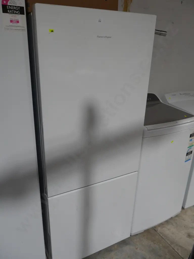 Fisher & Paykel fridge freezer Image 1++