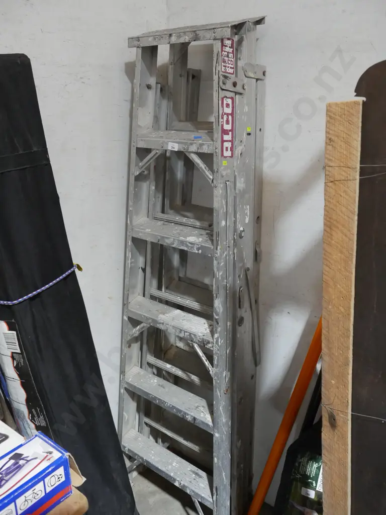 Alco extension ladder Image 1++