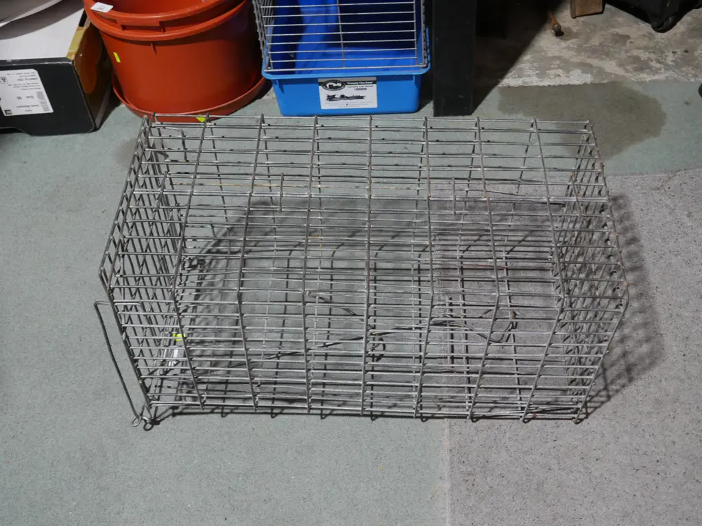 Animal trap Image 1++