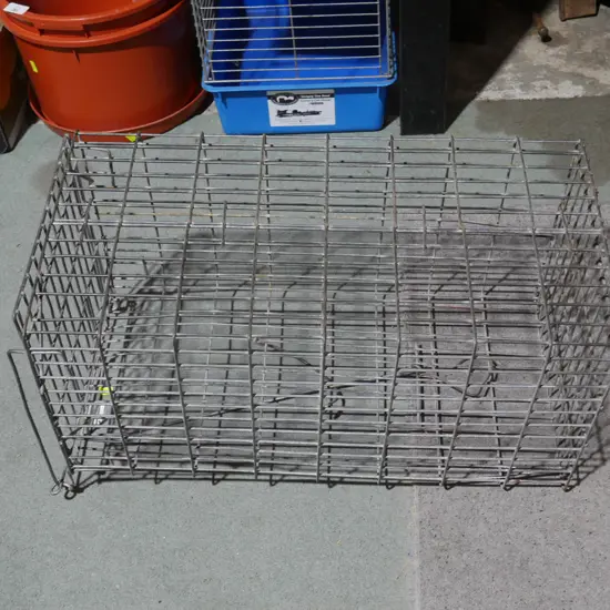 Animal trap