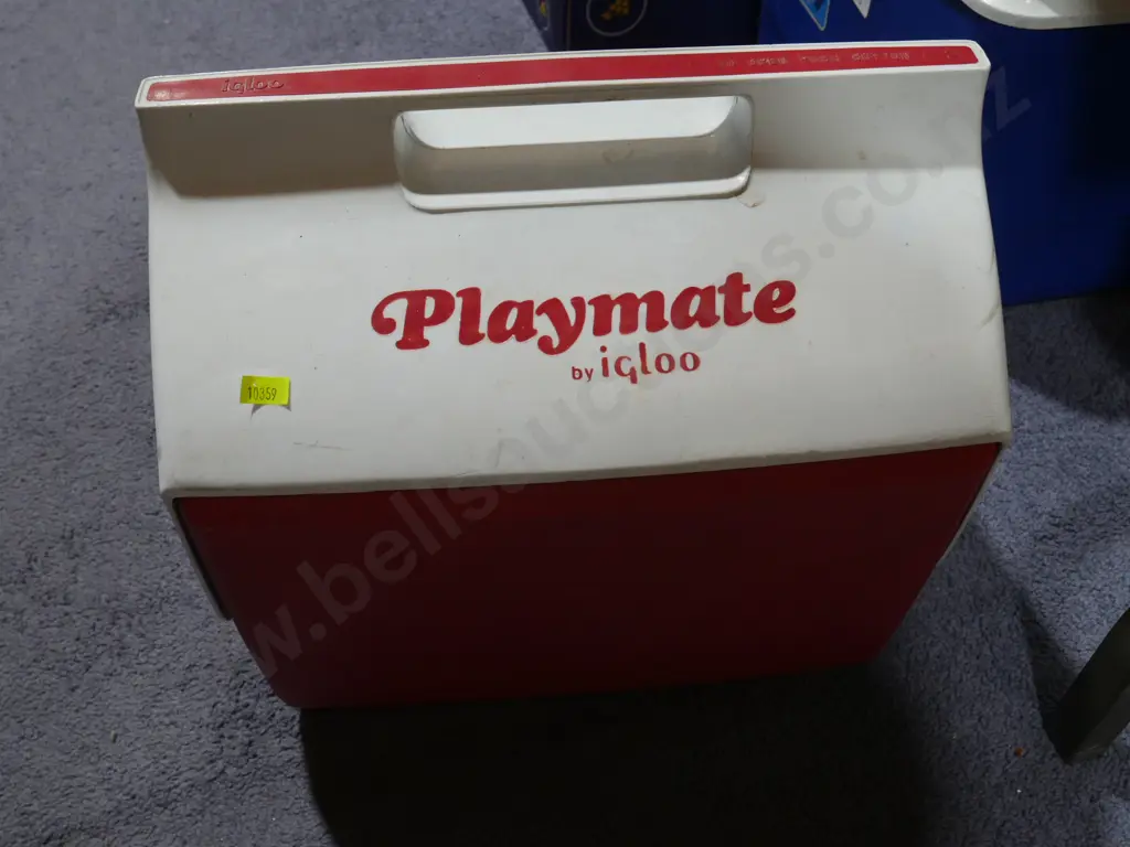 3 chilly bins Image 1++