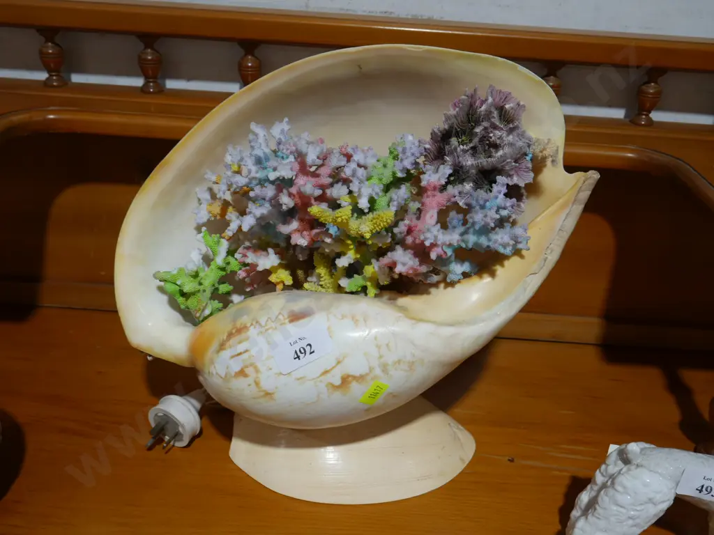 Shell lamp Image 1++