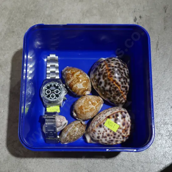Shells and watch