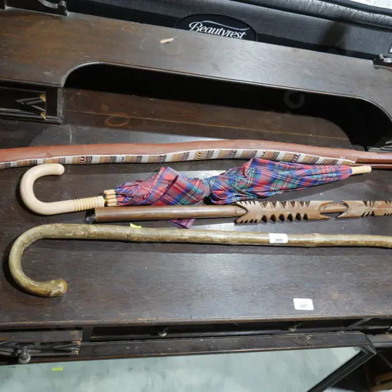 Walking stick umbrella etc