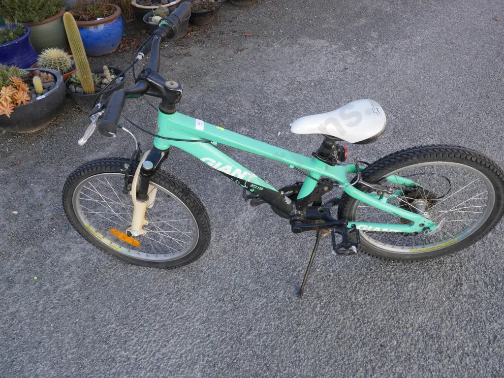 Kids Giant bike Image 1++