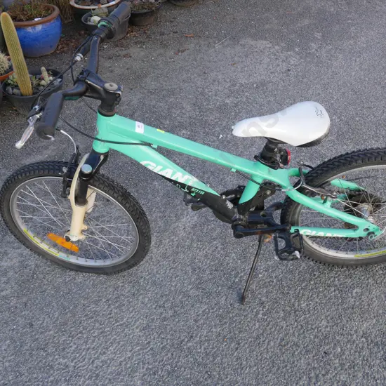 Kids Giant bike
