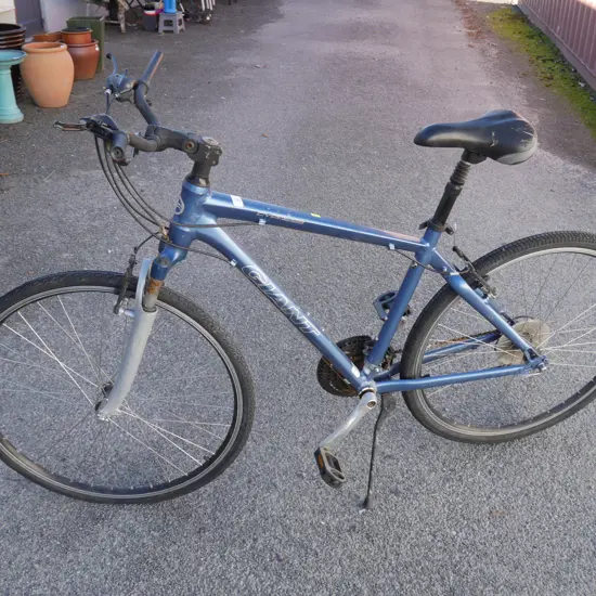 Giant bike