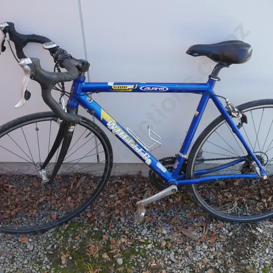 Wheeler bike