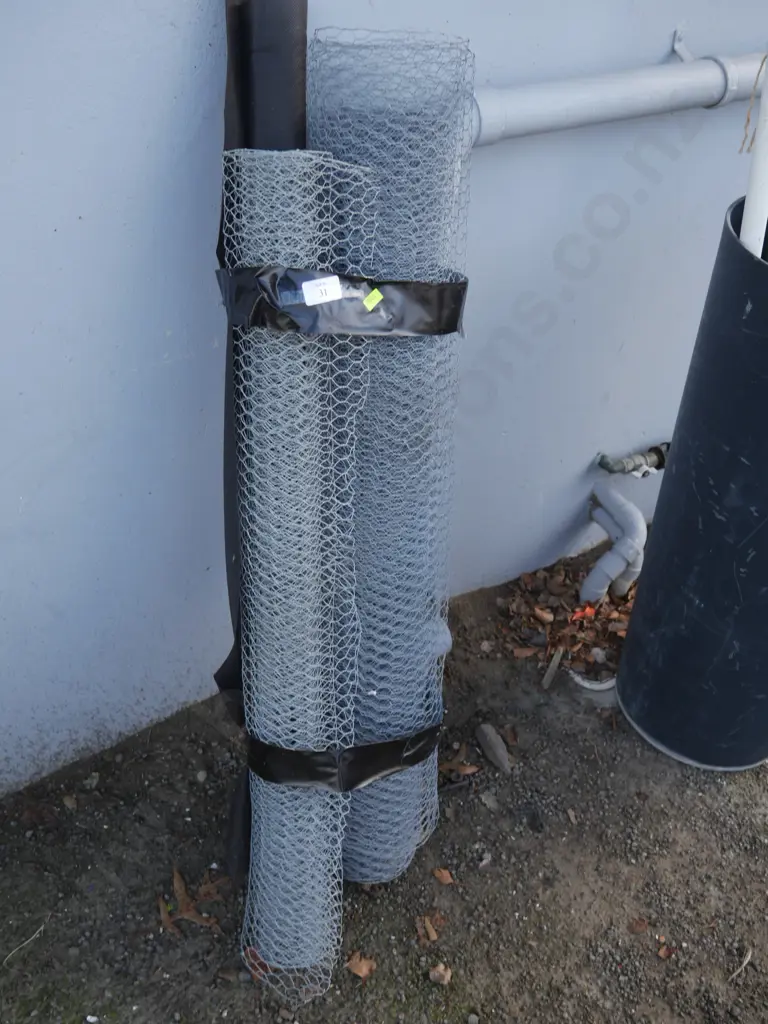 Chicken wire etc Image 1++