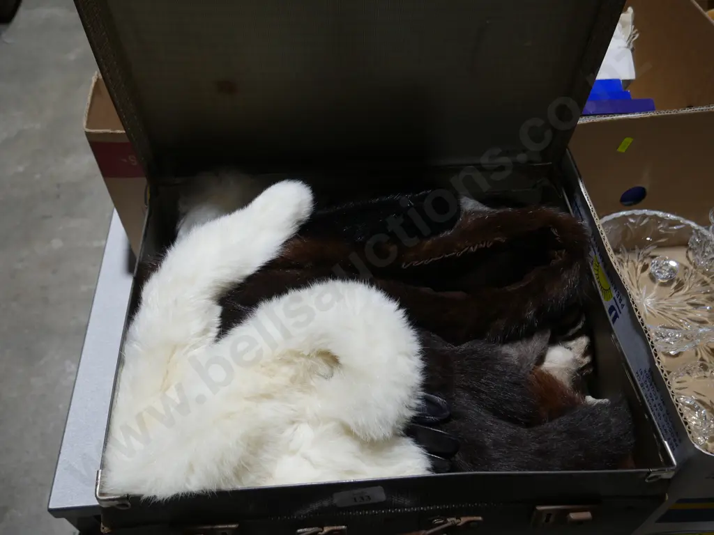 Case of fur stoles Image 1++